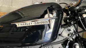 Harley-Davidson 1200 Custom (2007 - 13) - XL 1200C  (8)