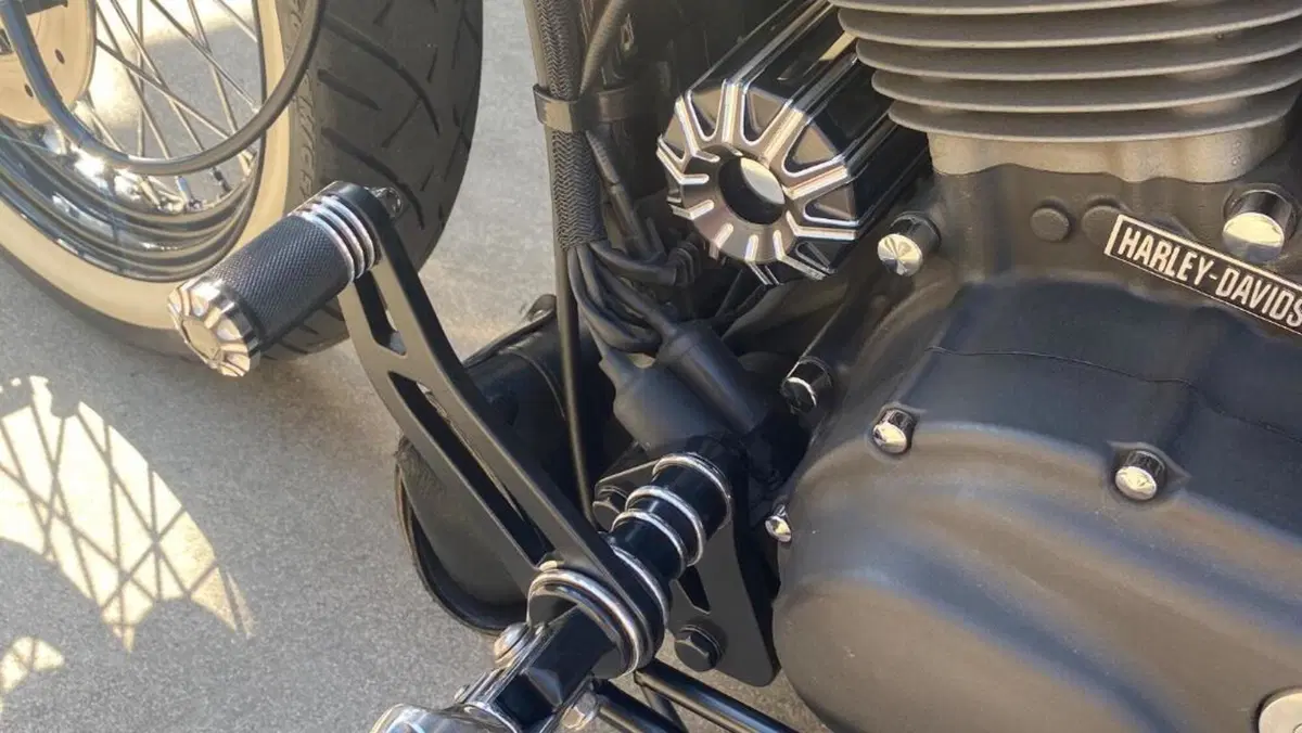 Harley-Davidson 1200 Custom (2007 - 13) - XL 1200C  (11)