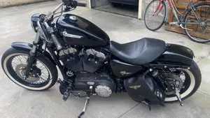 Harley-Davidson 1200 Custom (2007 - 13) - XL 1200C  (13)