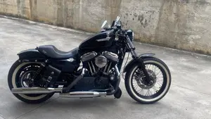 Harley-Davidson 1200 Custom (2007 - 13) - XL 1200C  (14)