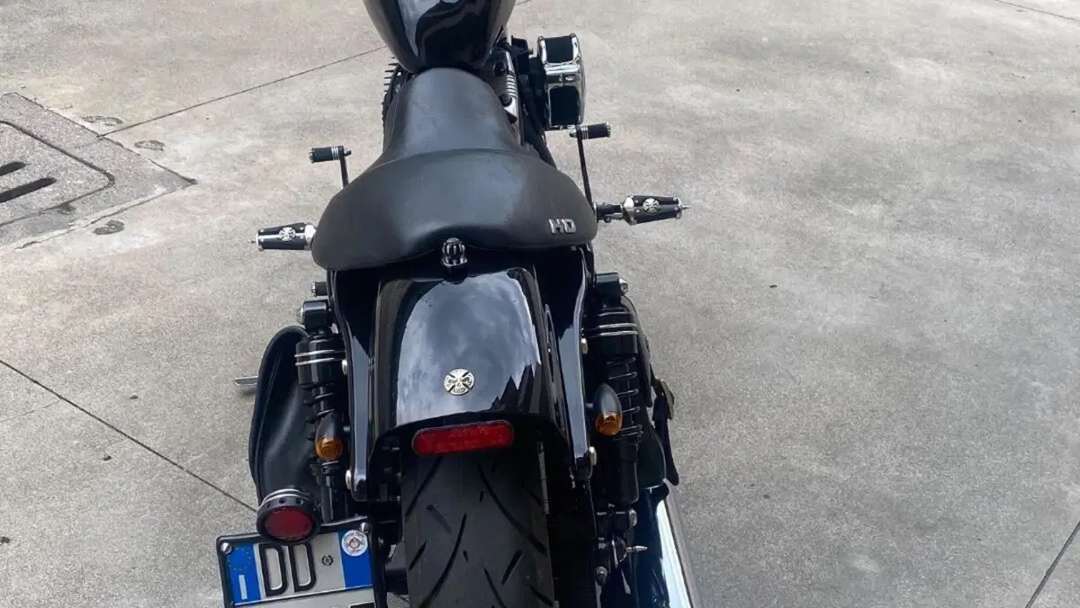 Harley-Davidson 1200 Custom (2007 - 13) - XL 1200C  (15)