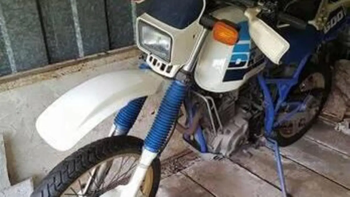Suzuki   (2)