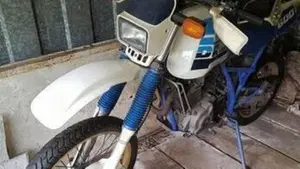 Suzuki   (2)