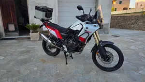 Yamaha Ténéré 700 (2019 - 20)  (9)