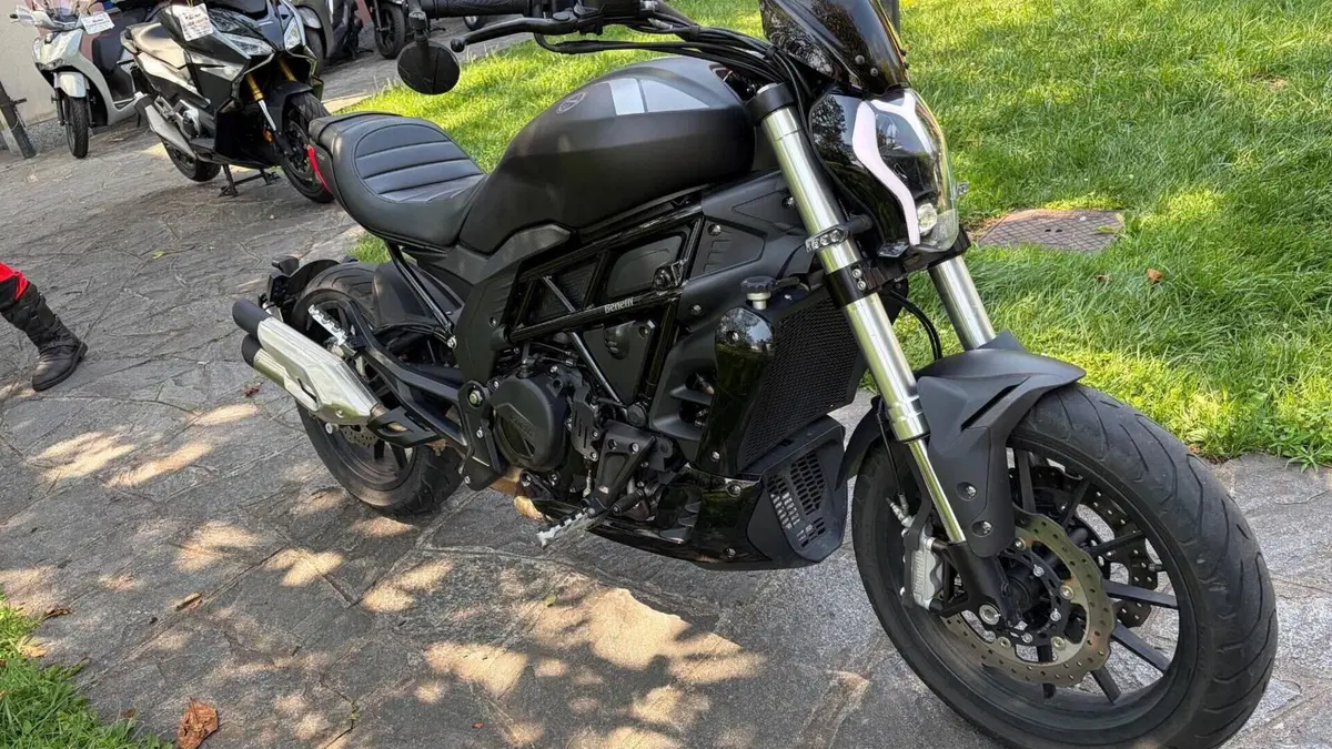 Benelli 502 C (2019 - 20)  (2)
