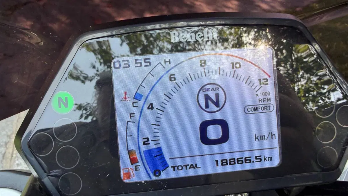 Benelli 502 C (2019 - 20)  (6)