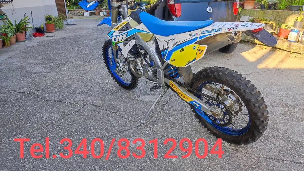 Tm Moto EN 300 Es 2t (2020)  (2)