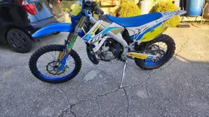 Tm Moto EN 300 Es 2t (2020)  (3)