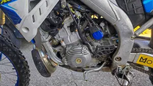 Tm Moto EN 300 Es 2t (2020)  (6)