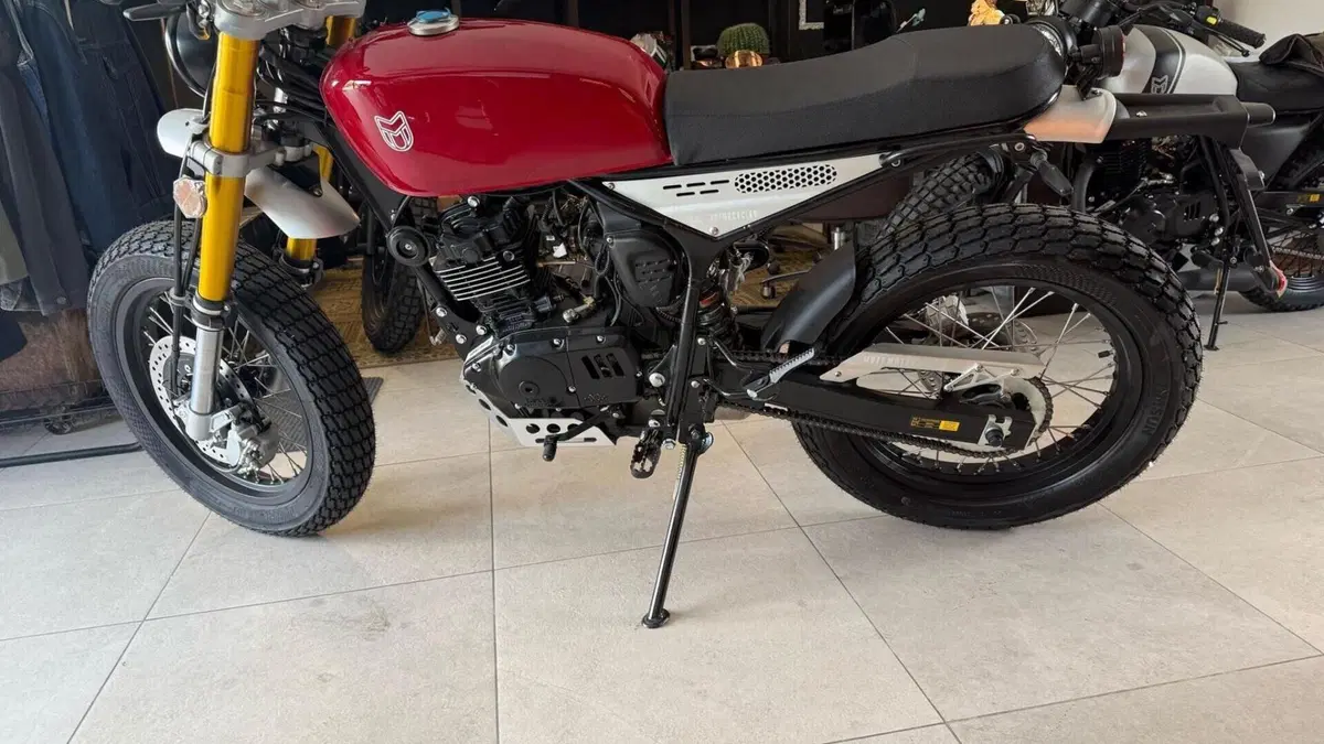 Mutt Motorcycles Razorback 125 (2021 - 25) 