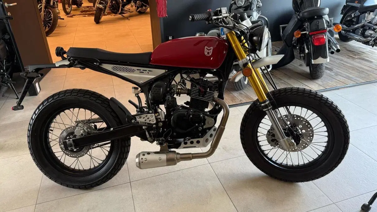 Mutt Motorcycles Razorback 125 (2021 - 25)  (5)