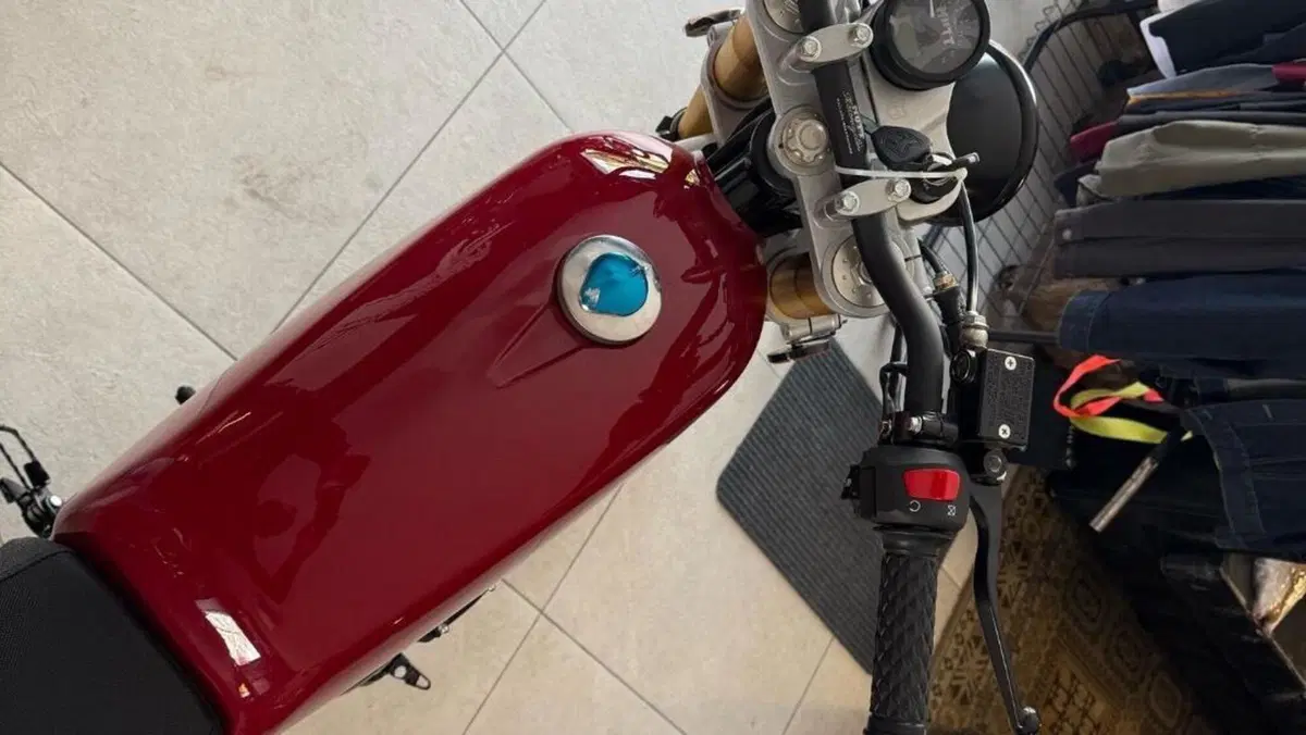 Mutt Motorcycles Razorback 125 (2021 - 25)  (6)