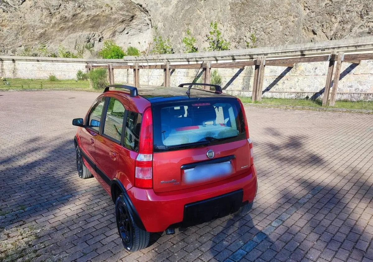 Fiat Panda 1.3 MJT 16V 4x4 Cross (4)