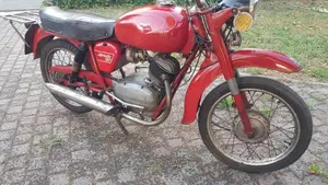 Moto Guzzi   (6)