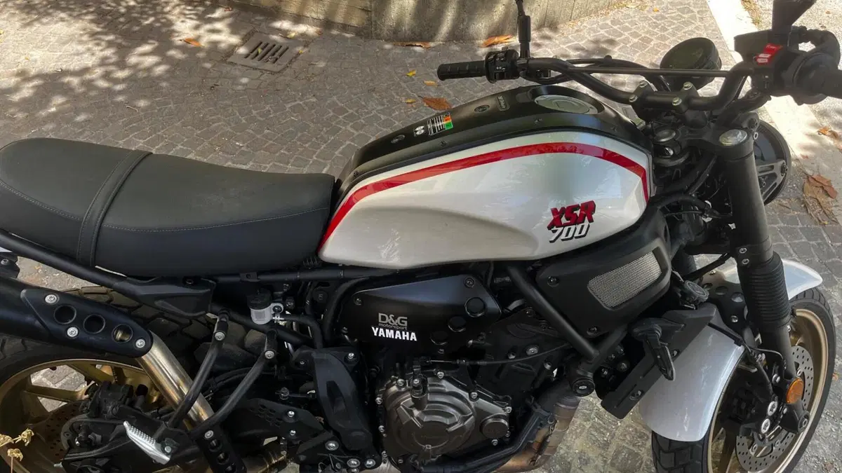 Yamaha XSR 700 XTribute (2022 - 24)  (6)