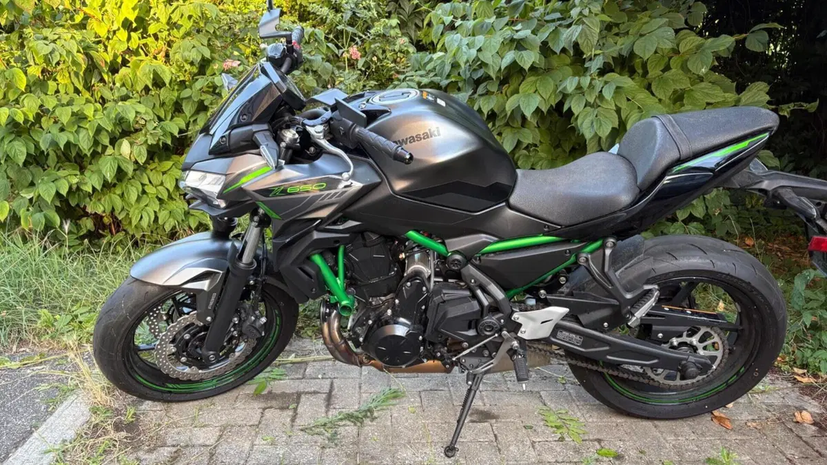 Kawasaki Z 650 (2021 - 24) 