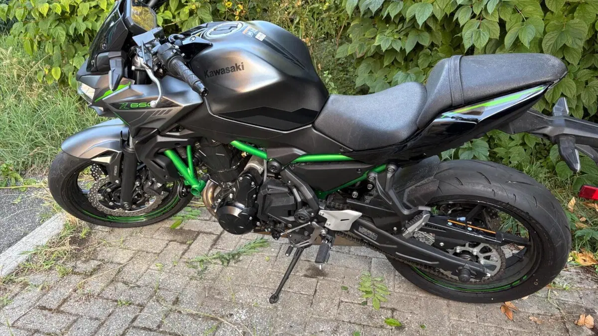 Kawasaki Z 650 (2021 - 24)  (2)