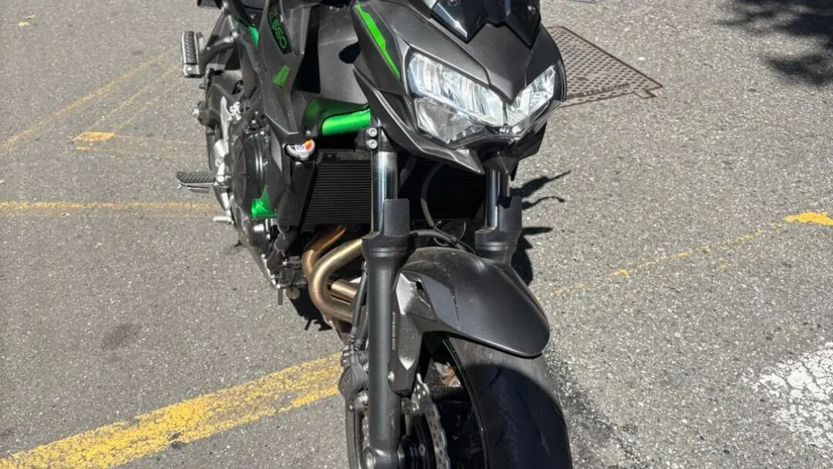 Kawasaki Z 650 (2021 - 24)  (4)