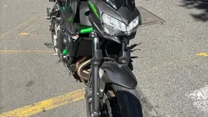Kawasaki Z 650 (2021 - 24)  (4)