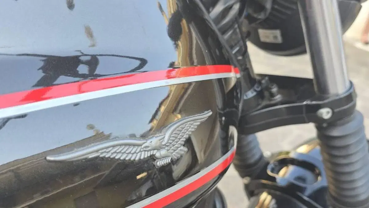 Moto Guzzi V7 Stone Special Edition (2022 - 25)  (6)