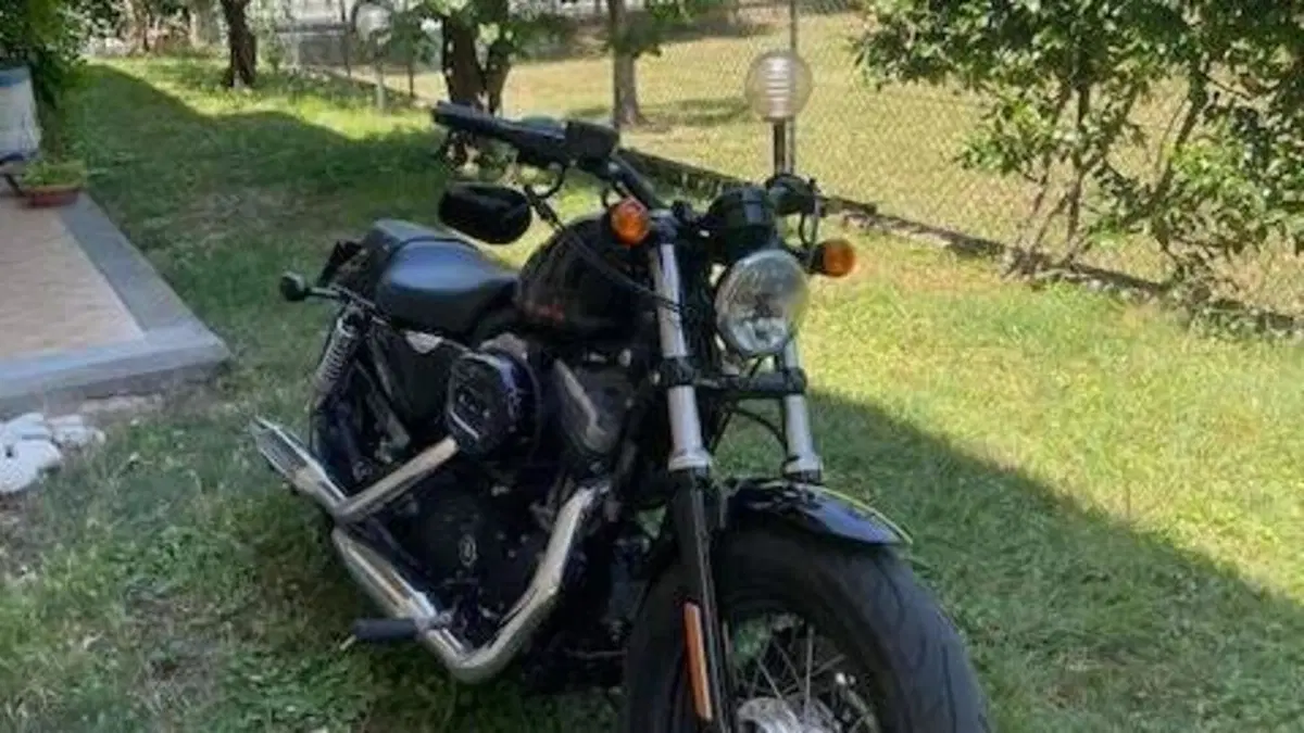Harley-Davidson 1200 Forty-Eight (2010 - 15)  (3)