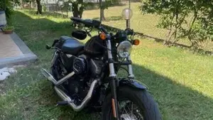 Harley-Davidson 1200 Forty-Eight (2010 - 15)  (3)