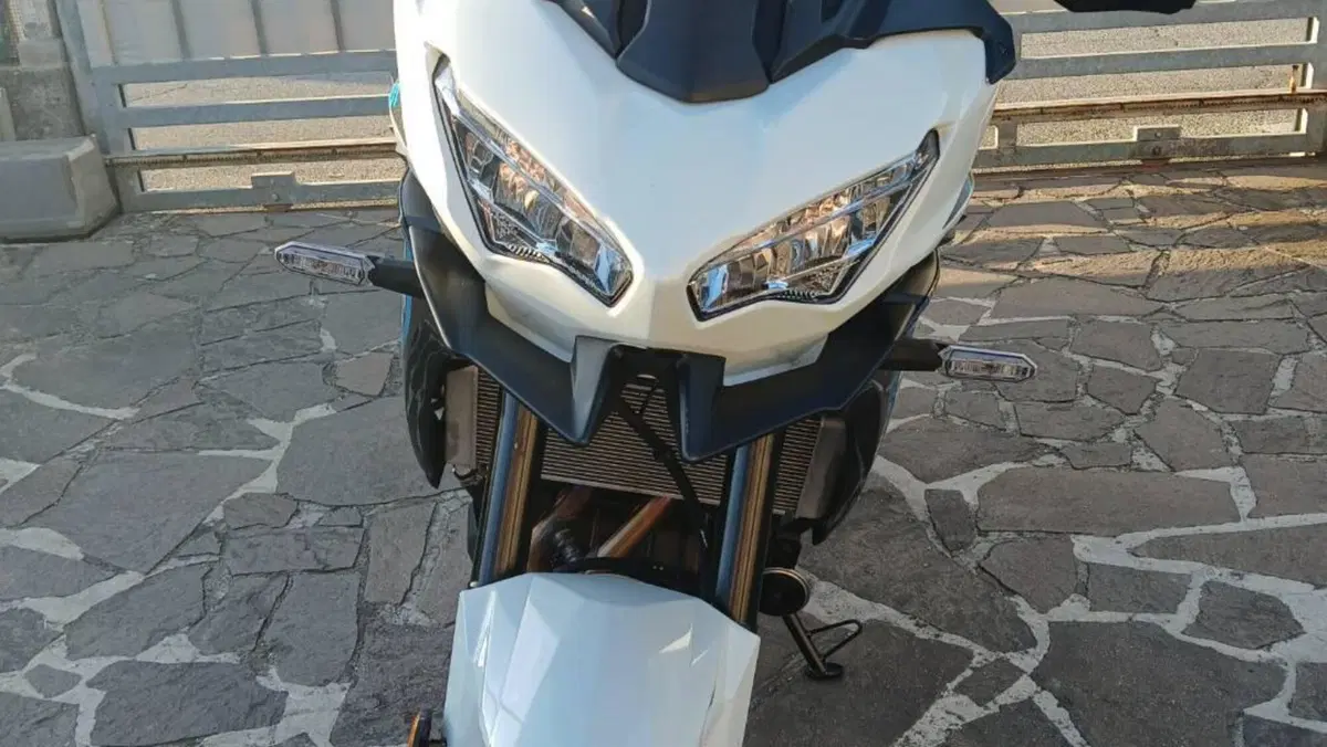 Kawasaki Versys 650 (2025 - 26)  (3)