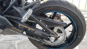 Kawasaki Versys 650 (2025 - 26)  (6)