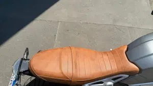Bmw R nineT Scrambler (2021 - 24)  (14)