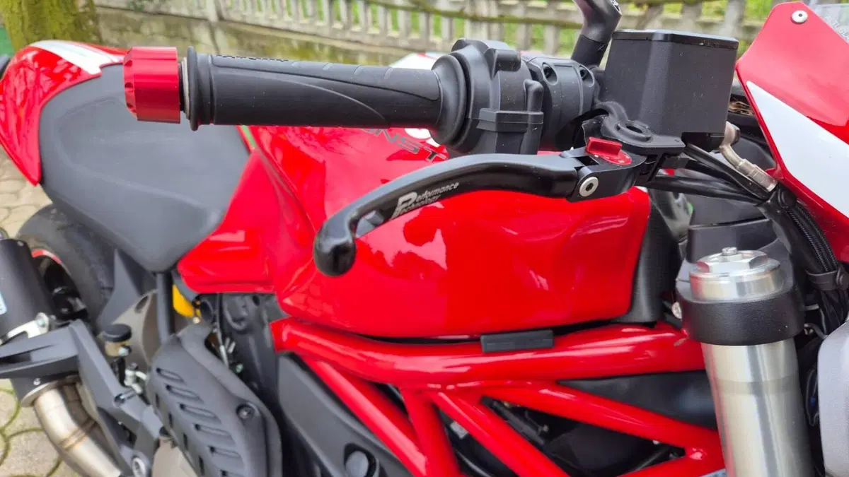 Ducati Monster 821 Stripe ABS (2015 - 17)  (6)