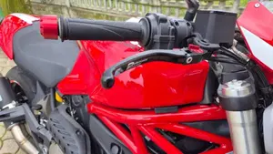 Ducati Monster 821 Stripe ABS (2015 - 17)  (6)