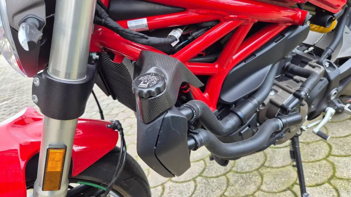 Ducati Monster 821 Stripe ABS (2015 - 17)  (8)