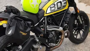 Ducati Scrambler 800 Icon (2017 - 20) 