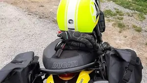 Ducati Scrambler 800 Icon (2017 - 20)  (2)