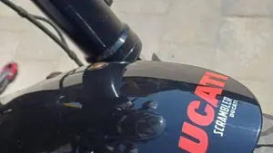 Ducati Scrambler 800 Icon (2017 - 20)  (18)
