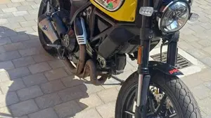 Ducati Scrambler 800 Icon (2017 - 20)  (19)