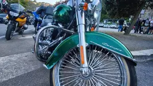 Harley-Davidson 1690 Deluxe ABS (2011 - 16) - FLSTN 