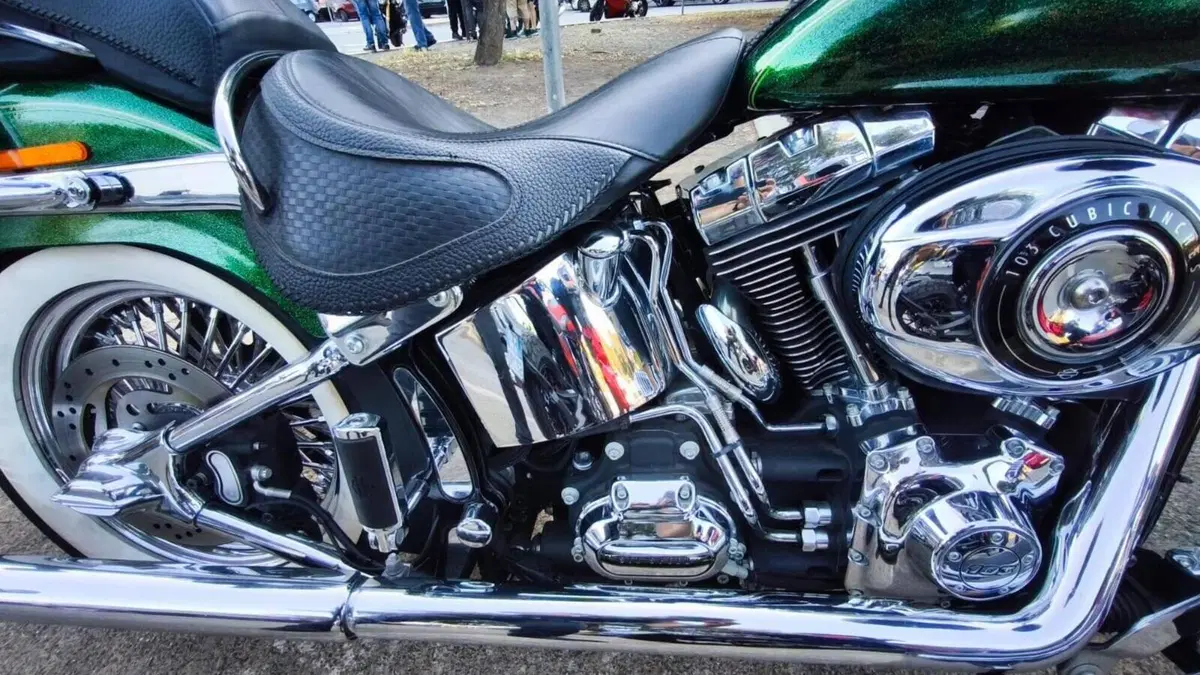 Harley-Davidson 1690 Deluxe ABS (2011 - 16) - FLSTN  (2)
