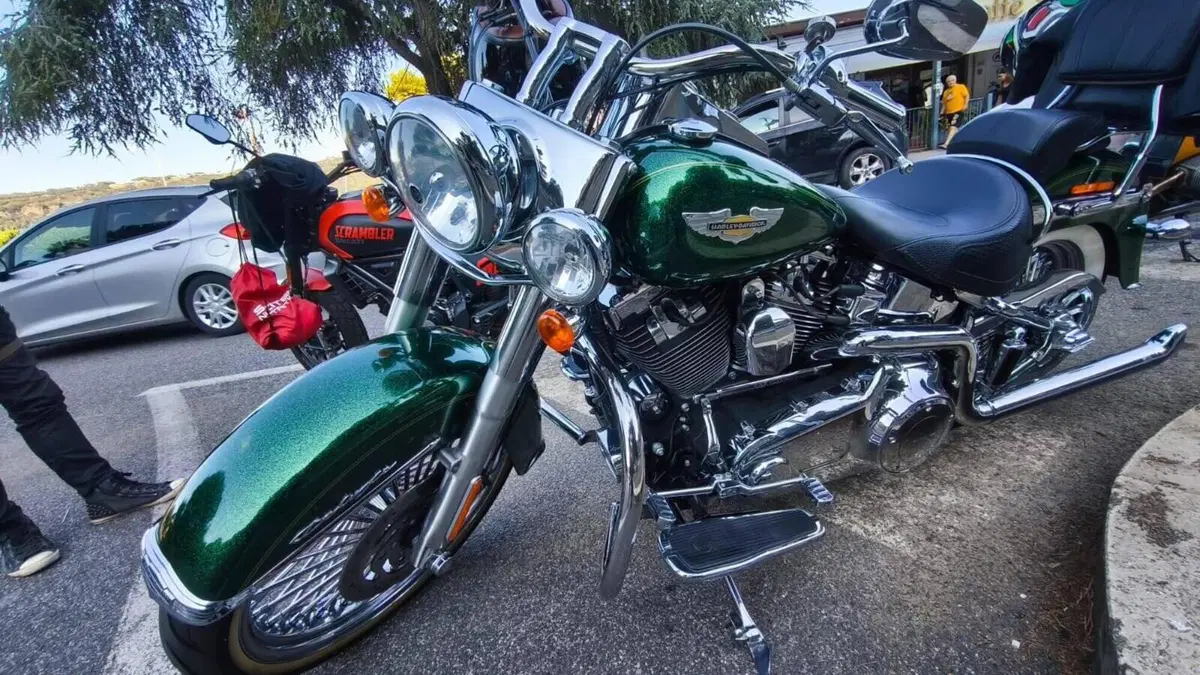 Harley-Davidson 1690 Deluxe ABS (2011 - 16) - FLSTN  (4)