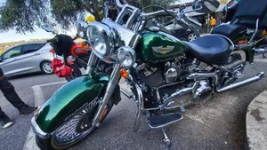 Harley-Davidson 1690 Deluxe ABS (2011 - 16) - FLSTN  (4)