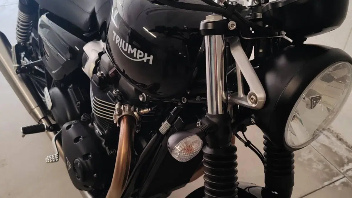 Triumph Speed Twin 900 (2023 - 24)  (3)