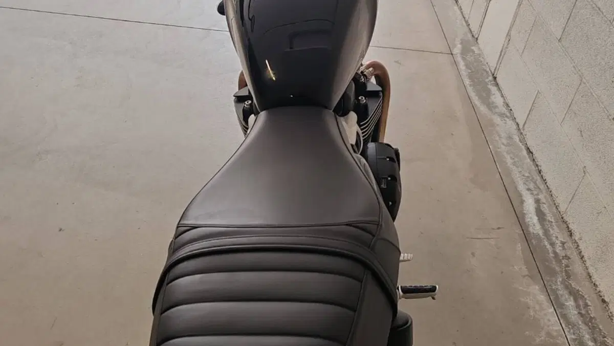 Triumph Speed Twin 900 (2023 - 24)  (6)