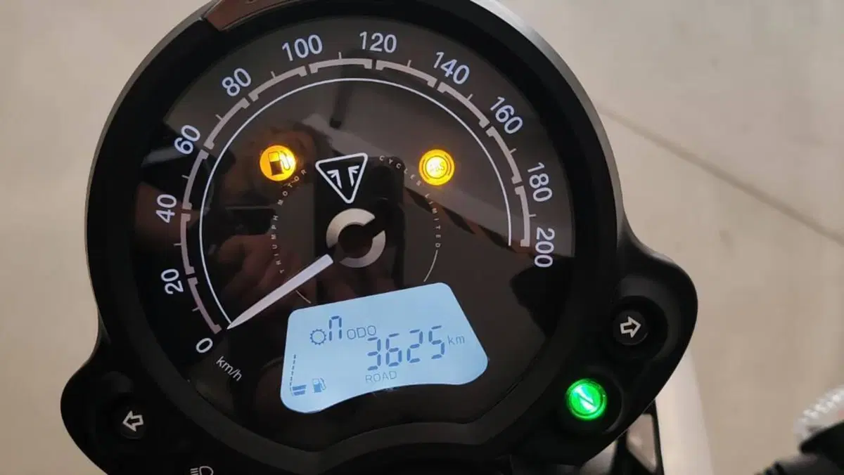 Triumph Speed Twin 900 (2023 - 24)  (8)