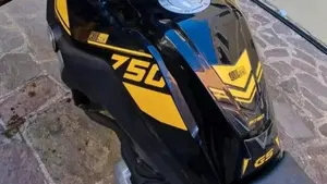Bmw F 750 GS Edition 40 Years GS (2021)  (2)