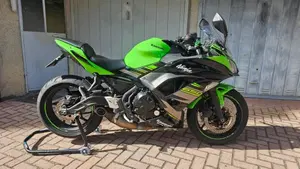 Kawasaki Ninja 650 KRT Edition (2017 - 19)  (4)