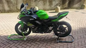 Kawasaki Ninja 650 KRT Edition (2017 - 19)  (14)