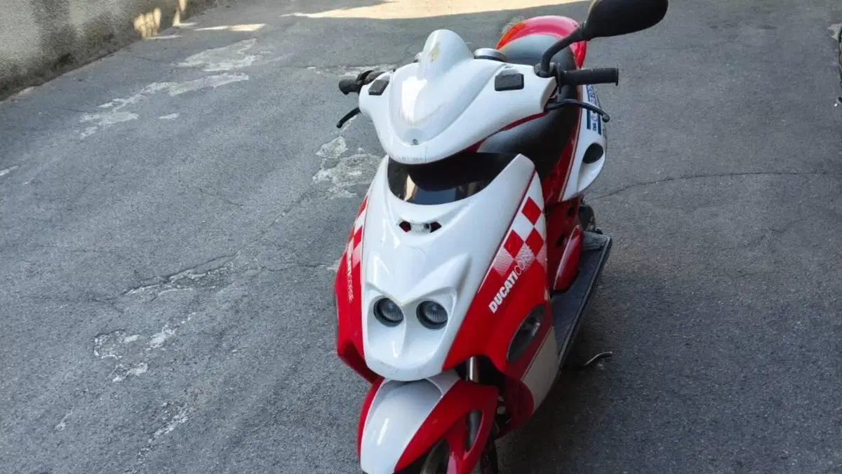 Malaguti F15 Firefox 50 TDS - 2FD Digit Ducati Corse Sbk  (2)