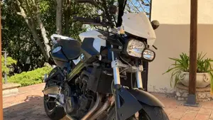 Bmw F 800 R (2009 - 11)  (8)