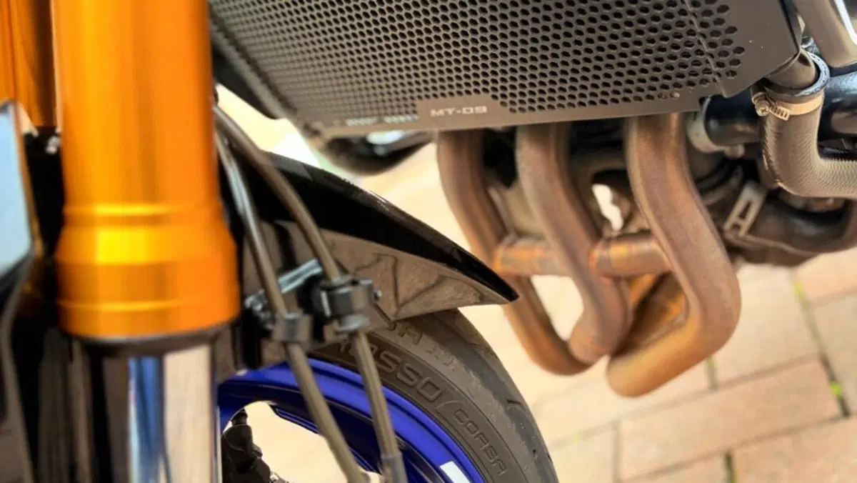 Yamaha MT-09 SP (2018 - 20)  (11)