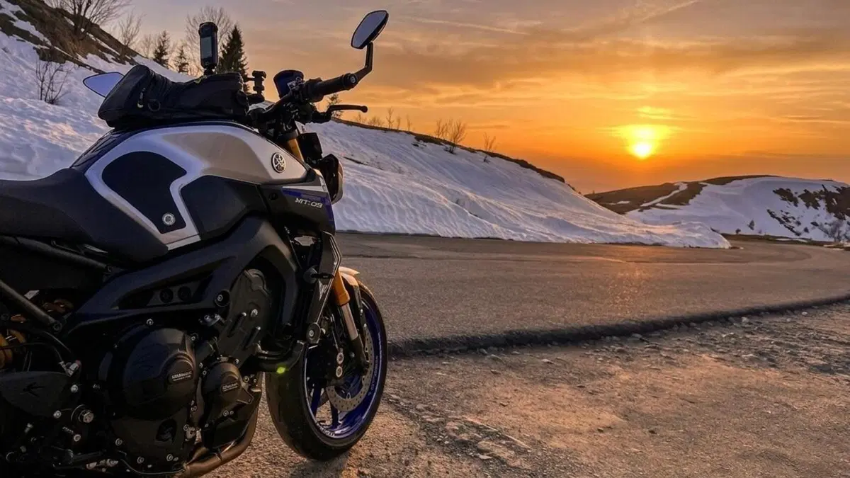 Yamaha MT-09 SP (2018 - 20)  (13)